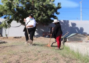 05 Servidores públicos, docentes, madres y padres de familia se unen para la limpieza de las escuelas de Los Cabos (7)