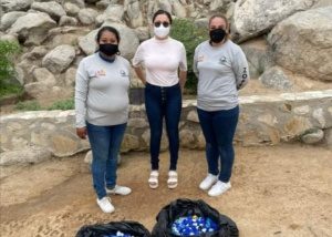 01 450 kilos de materiales plásticos se han recolectado en playas de Los Cabos1