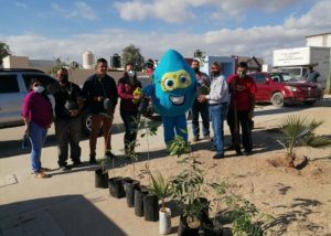 03 Con reforestación en parques inició en Los Cabos la Conmemoración del ‘’Día Internacional de la Educación Ambiental’’ 02
