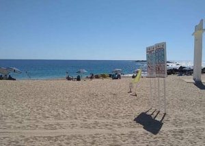 02 Ante fuerte oleaje que prevalece, exhorta Zofemat Los Cabos a respetar la señalización de banderas en las playas (1)