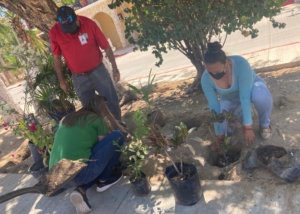 05 En Miraflores particpa alumnado en proyecto de reforestacioÌn del Gobierno de Los Cabos1