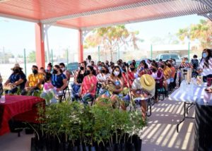 08 Exitosas jornadas de reforestación realizaron vecinos e integrantes de la IV Regiduría en colonias de CSL
