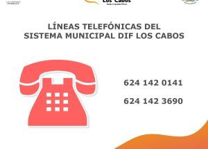 08 Requieres información sobre los programas y apoyos del DIF Los Cabos, Comunícate a sus líneas telefónicas