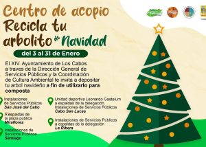 07 Evitemos contaminar con el árbol de navidad_ hay 5 centros de acopio en Los Cabos1