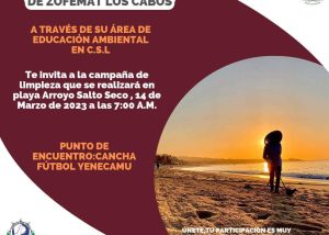 05 Súmate y participa en la jornada de limpieza de playa que Zofemat Los Cabos realizará este 14 de marzo en CSL1