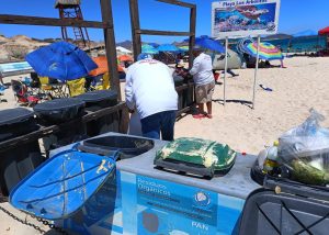 07 Continúa Zofemat Los Cabos con la recolección de residuos sólidos en las playas1