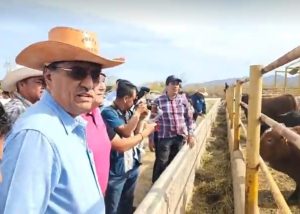 11¡Otro compromiso cumplido! alcalde de Los Cabos Oscar Leggs Castro entrega sementales a ganaderos de la regioìn 02