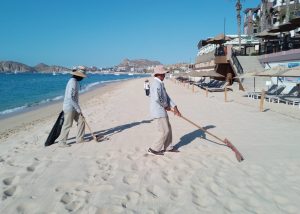 14 Con trabajo comprometido, Zofemat Los Cabos mantiene la limpieza permanente de las playas 02