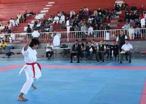 Foto Selectivo Municipal Karate 2