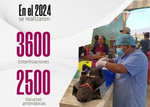 Foto esterilizaciones y vacunas 2024